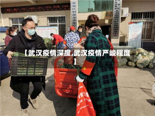 【武汉疫情深度,武汉疫情严峻程度】