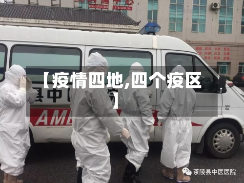 【疫情四地,四个疫区】-第2张图片