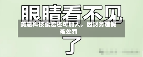 美晨科技索赔还可加入，因财务造假被处罚-第3张图片