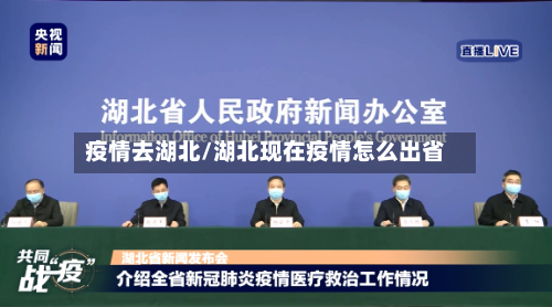 疫情去湖北/湖北现在疫情怎么出省