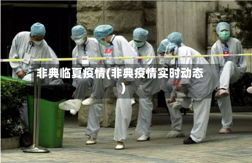 非典临夏疫情(非典疫情实时动态)-第2张图片