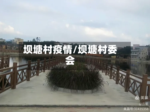 坝塘村疫情/坝塘村委会-第2张图片