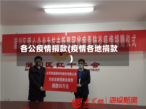 各公疫情捐款(疫情各地捐款)