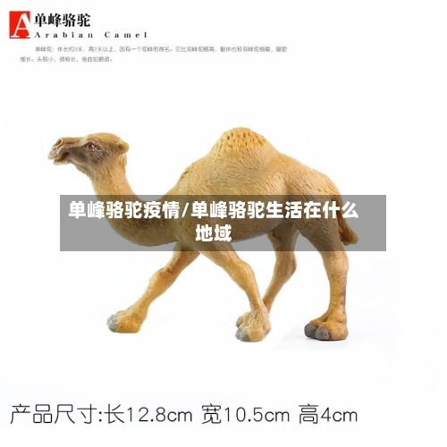 单峰骆驼疫情/单峰骆驼生活在什么地域-第2张图片