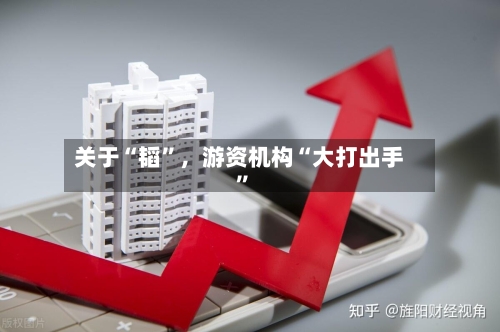 关于“韬”，游资机构“大打出手	”-第2张图片