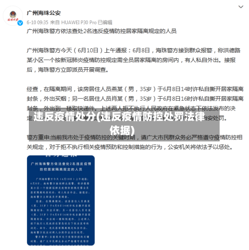 违反疫情处分(违反疫情防控处罚法律依据)-第2张图片