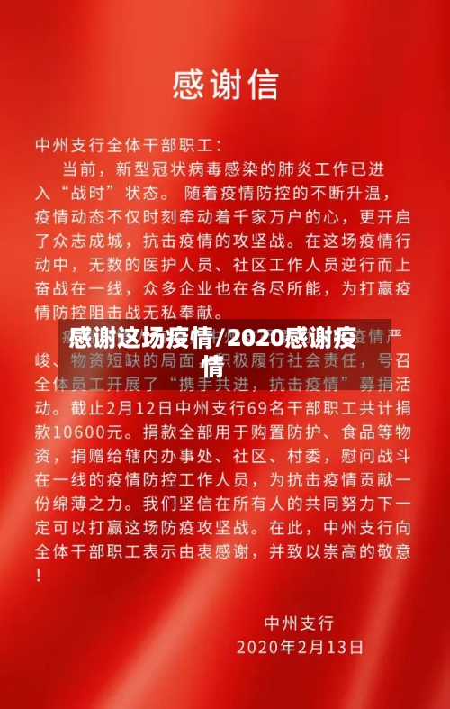 感谢这场疫情/2020感谢疫情-第3张图片