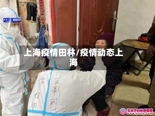 上海疫情田林/疫情动态上海-第3张图片