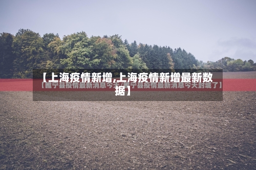 【上海疫情新增,上海疫情新增最新数据】-第2张图片