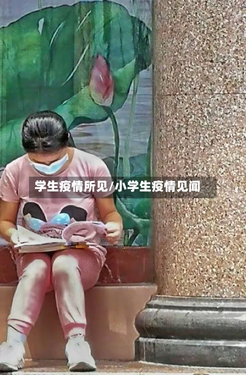 学生疫情所见/小学生疫情见闻