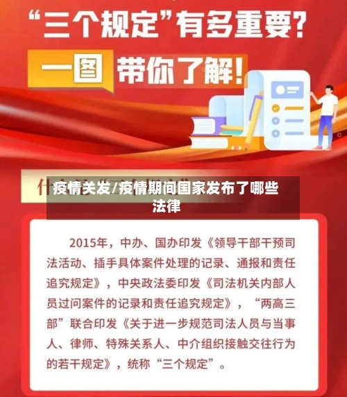 疫情关发/疫情期间国家发布了哪些法律