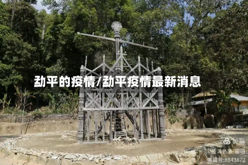 勐平的疫情/勐平疫情最新消息