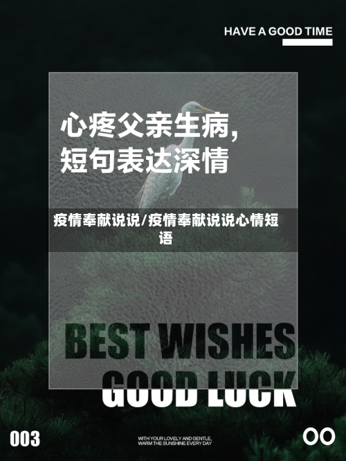 疫情奉献说说/疫情奉献说说心情短语-第2张图片