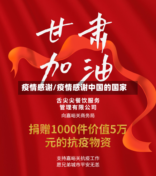 疫情感谢/疫情感谢中国的国家-第2张图片