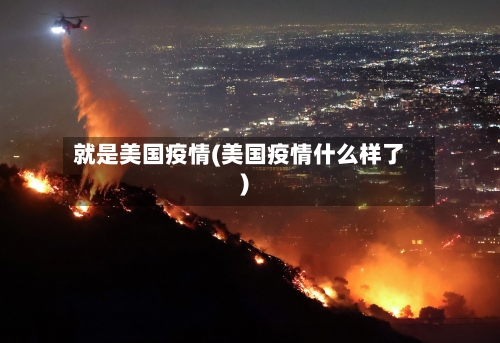 就是美国疫情(美国疫情什么样了)-第2张图片
