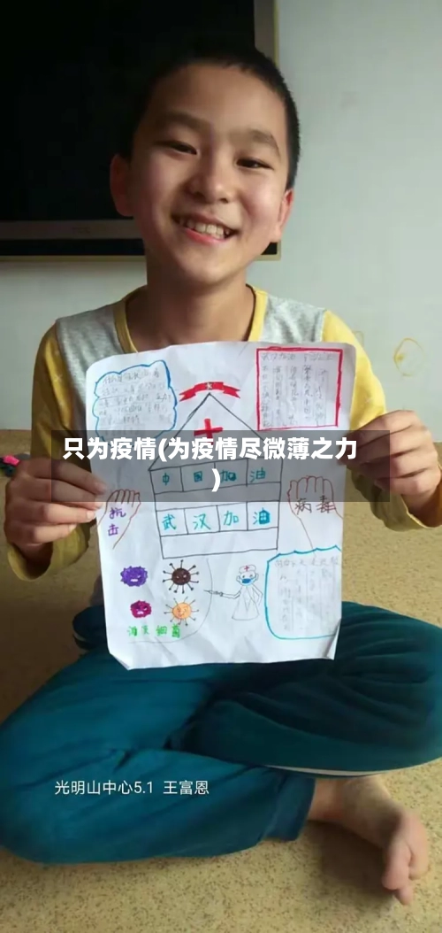 只为疫情(为疫情尽微薄之力)-第2张图片