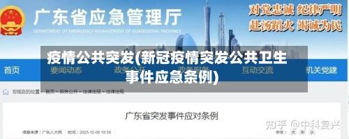 疫情公共突发(新冠疫情突发公共卫生事件应急条例)-第2张图片