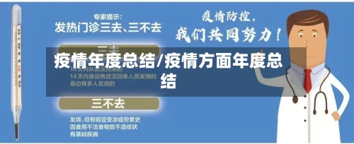 疫情年度总结/疫情方面年度总结-第2张图片