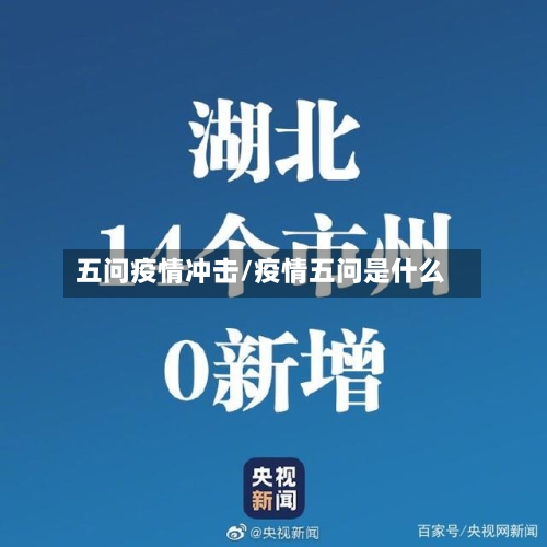 五问疫情冲击/疫情五问是什么-第3张图片