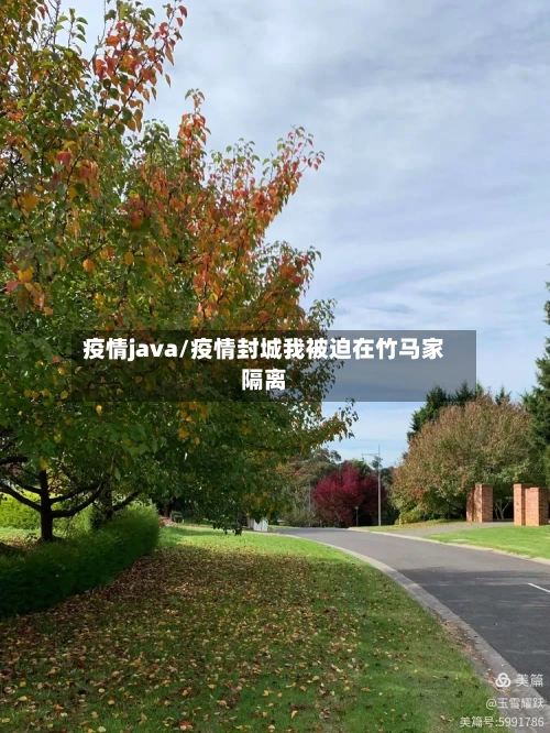疫情java/疫情封城我被迫在竹马家隔离