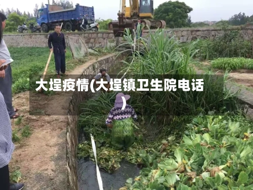 大埕疫情(大埕镇卫生院电话)