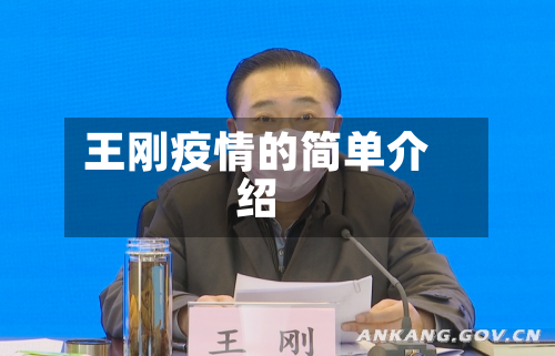 王刚疫情的简单介绍-第2张图片