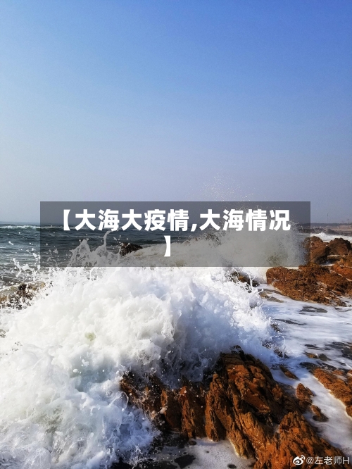 【大海大疫情,大海情况】-第2张图片