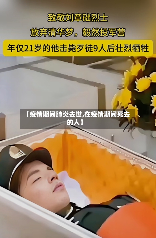 【疫情期间肺炎去世,在疫情期间死去的人】