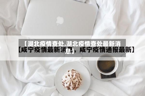 【湖北疫情查处,湖北疫情查处最新消息】