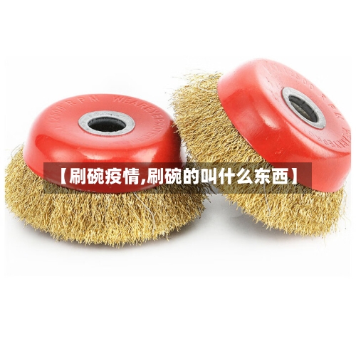 【刷碗疫情,刷碗的叫什么东西】-第2张图片
