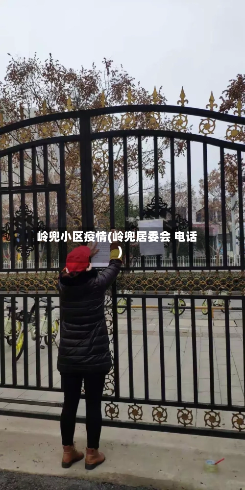 岭兜小区疫情(岭兜居委会 电话)