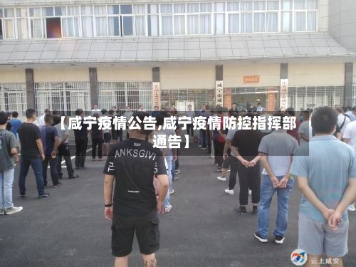 【咸宁疫情公告,咸宁疫情防控指挥部通告】