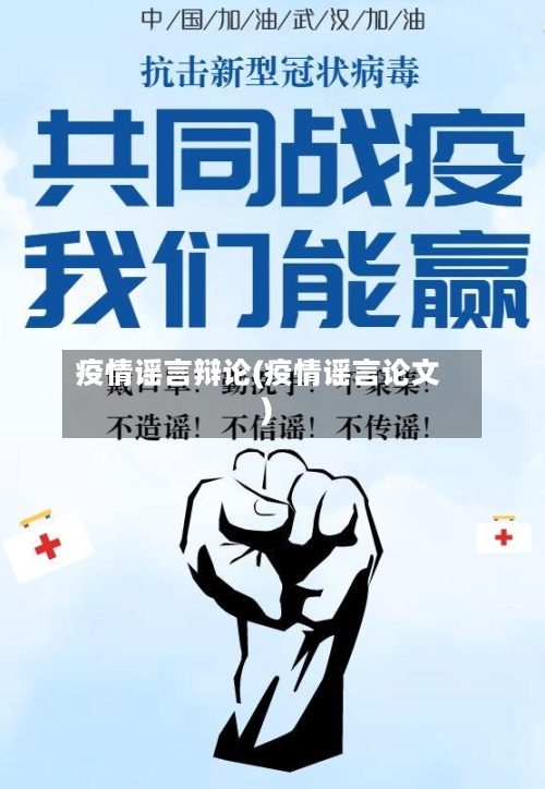 疫情谣言辩论(疫情谣言论文)-第2张图片