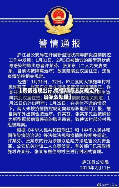 【疫情违规出行,疫情期间违反规定外出怎么处理】-第2张图片