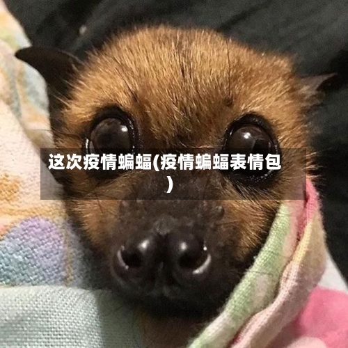 这次疫情蝙蝠(疫情蝙蝠表情包)