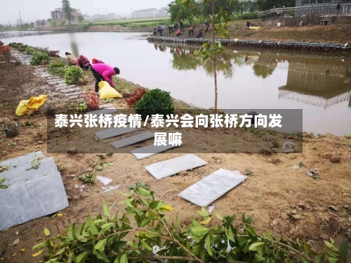 泰兴张桥疫情/泰兴会向张桥方向发展嘛