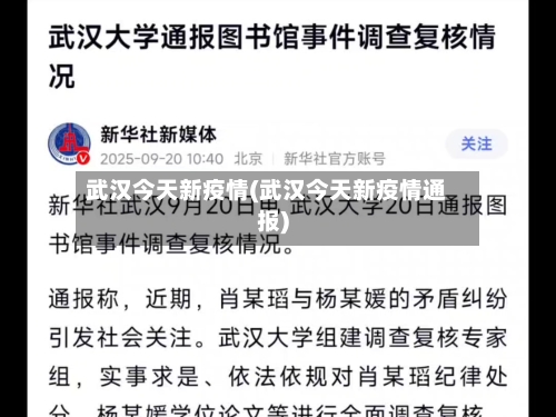 武汉今天新疫情(武汉今天新疫情通报)-第2张图片