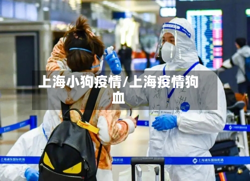 上海小狗疫情/上海疫情狗血-第3张图片
