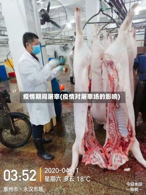 疫情期间屠宰(疫情对屠宰场的影响)-第3张图片