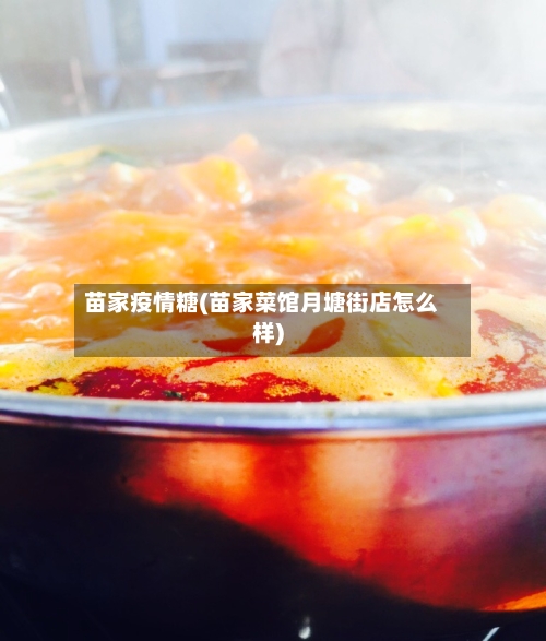 苗家疫情糖(苗家菜馆月塘街店怎么样)-第2张图片