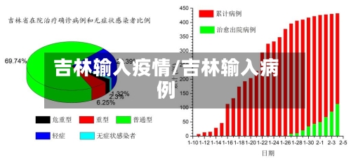 吉林输入疫情/吉林输入病例