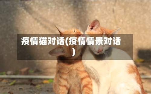 疫情猫对话(疫情情景对话)