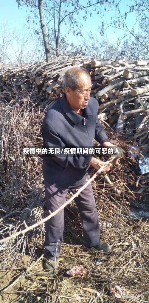 疫情中的无良/疫情期间的可恶的人