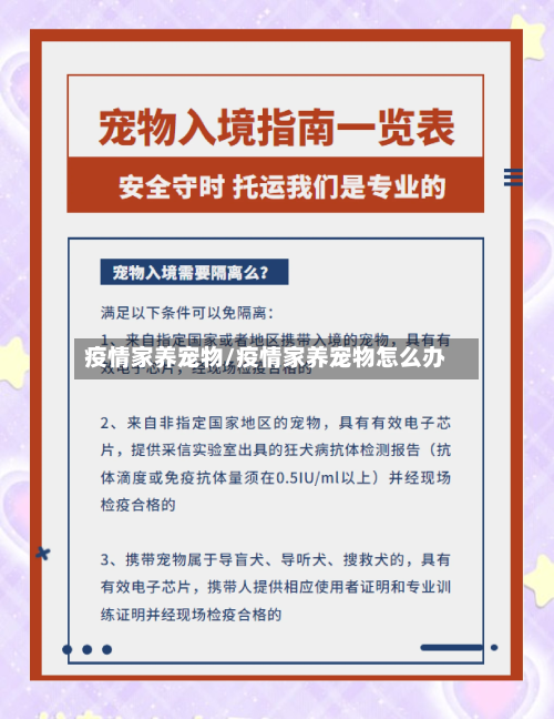 疫情家养宠物/疫情家养宠物怎么办