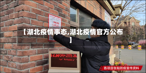 【湖北疫情事态,湖北疫情官方公布】-第3张图片