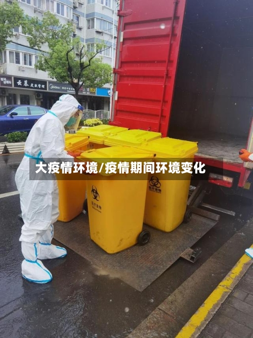 大疫情环境/疫情期间环境变化
