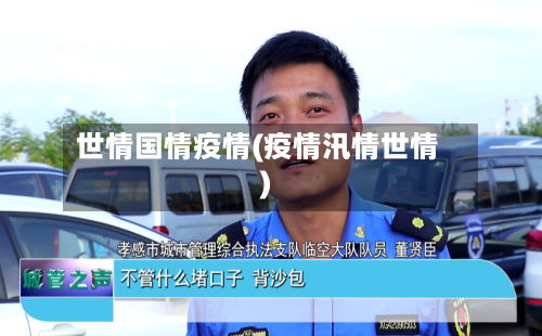 世情国情疫情(疫情汛情世情)
