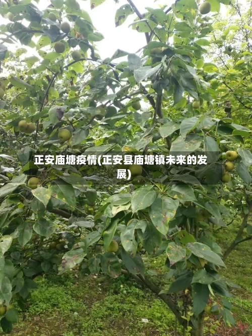 正安庙塘疫情(正安县庙塘镇未来的发展)