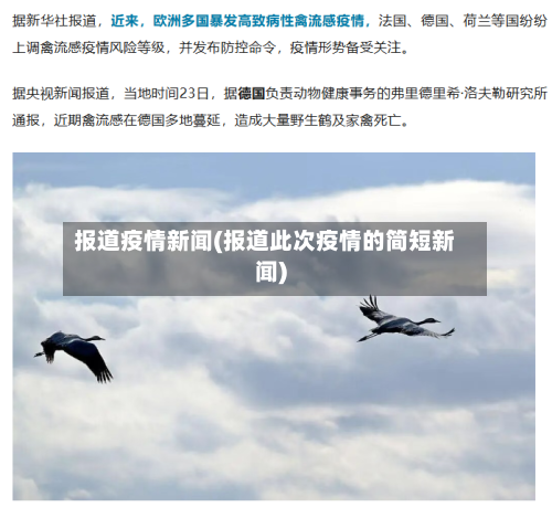 报道疫情新闻(报道此次疫情的简短新闻)-第3张图片