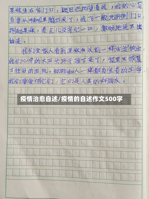 疫情治愈自述/疫情的自述作文500字